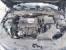 5XXGU4L16KG****** Reparables 2019 Kia Optima en Springfield