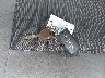 1J4BA3H15AL****** Salvage 2010 Jeep Wrangler in Florida State
