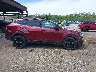 5XYK6CDF5SG****** Usados 2025 Kia Sportage en Estado de Nueva York