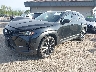 7MMVABEM4PN****** Used and Repairable 2023 Mazda CX-50 in Appleton