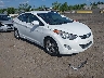 5NPDH4AE8DH****** Salvage and Wrecked 2013 Hyundai Elantra in Long Island