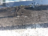 1G11Z5S35KU****** Salvage and Wrecked 2019 Chevrolet Impala in Baton Rouge