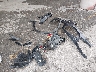 5UXTY5C03M9****** Destrozados 2021 BMW X3 en Estado de Missouri