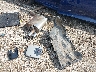 4T1T11AK2PU****** Wrecked 2023 Toyota Camry in Maryland State