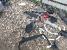 WA1AAAFY4M2****** Salvage and Wrecked 2021 Audi Q5 in Houston North