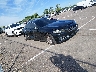 WBA5A7C50FD****** Salvamento y Destrozados 2015 BMW 5 Series en Memphis