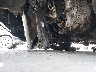 5NPE34AF8KH****** Repairable 2019 Hyundai Sonata