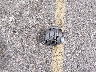WBA3B9C57DJ****** Wrecked 2013 BMW 335i in Colorado State