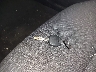 5YFEPRAE8LP****** Salvage 2020 Toyota Corolla in New York State