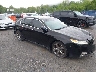 19UUA9F51AA****** Salvamento y Destrozados 2010 Acura TL en Pulaski