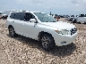 JTEDS43A782****** Salvage and Wrecked 2008 Toyota Highlander in Corpus Christi