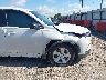 5FNYG2H29PB****** Salvamento y Destrozados 2023 Honda Pilot en Houston