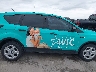 1FMCU0F72KU****** Used 2019 Ford Escape in Texas State