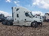 3AKJHHDR2MS****** Usados 2021 Freightliner New Cascadia 126 en Estado de Colorado