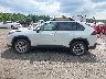 2T3C1RFV6SW****** Salvamento 2025 Toyota RAV4