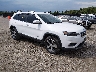1C4PJMDX8KD****** Salvamento y Destrozados 2019 Jeep Cherokee en Lexington