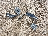 1C6SRFLT2LN****** Wrecked 2020 RAM 1500 in Texas State