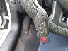 1C3CDFBB4ED****** Salvage 2014 Dodge Dart in Georgia State