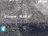 7G2CEHED0RA****** Usados 2024 Tesla Cybertruck en Estado de Florida