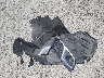 1GNKRGKD8HJ****** Wrecked 2017 Chevrolet Traverse in Georgia State