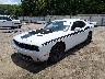 2C3CDZAG6FH****** Used and Repairable 2015 Dodge Challenger in Knoxville