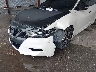 1N4AA6AP1HC****** Salvamento y Reparables 2017 Nissan Maxima en Estado de Florida