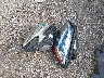 W1KWF8DB6LR****** Wrecked 2020 Mercedes-Benz C 300 in Texas State