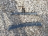 4S4BSENC5F3****** Destrozados 2015 Subaru Outback en Estado de Illinois