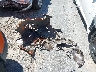JF2GTAEC4LH****** Salvamento 2020 Subaru Crosstrek en Estado de California