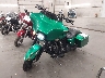 1HD1FC4159Y****** Used and Repairable 2009 Harley-Davidson Electra Glide Ultra Classic in Rec Rides Online Exclusive