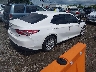 4T1C11AK3LU****** Salvamento y Destrozados 2020 Toyota Camry en Estado de Tennessee