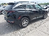 5NMJBCAE8PH****** Salvage and Wrecked 2023 Hyundai Tucson in Illinois State