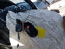 3TMJU62NX9M****** Salvage 2009 Toyota Tacoma in California State