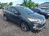 1FMCU0GD9HU****** Salvage and Wrecked 2017 Ford Escape in Cleveland