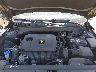 3KPF24AD1PE****** Reparables 2023 Kia Forte en Long Island