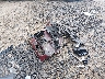 KL4MMBS29NB****** Wrecked 2022 Buick Encore in South Carolina State