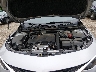 1G1ZD5STXKF****** Repairable 2019 Chevrolet Malibu in Baltimore