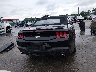 1FAGP8UHXR5****** Usados 2024 Ford Mustang