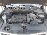 5XYPGDA35KG****** Repairable 2019 Kia Sorento in Springfield