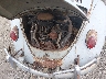 11729**** Reparables 1967 Volkswagen New Beetle en Providence