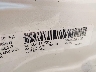 3C3CFFGE4DT****** Used 2013 Fiat 500e in Kansas City
