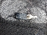 2GNFLEEK7G6****** Salvage 2016 Chevrolet Equinox in Virginia State