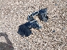 1GKKNPLS3MZ****** Wrecked 2021 GMC Acadia in Texas State