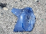7SAYGDEE6PA****** Wrecked 2023 Tesla Model Y in Virginia State