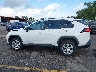 2T3H1RFV1LW****** Reparables 2020 Toyota RAV4 en Estado de Florida