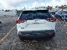 2T3H1RFV1LW****** Destrozados 2020 Toyota RAV4
