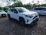 2T3H1RFV1LW****** Salvamento y Destrozados 2020 Toyota RAV4 en West Palm Beach