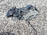 WA1DKAFP3BA****** Destrozados 2011 Audi Q5 en Estado de Carolina del Sur