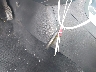 3N1AB7AP4KY****** Salvage 2019 Nissan Sentra in Texas State