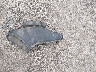 5FNRL5H6XBB****** Wrecked 2011 Honda Odyssey in Kansas State